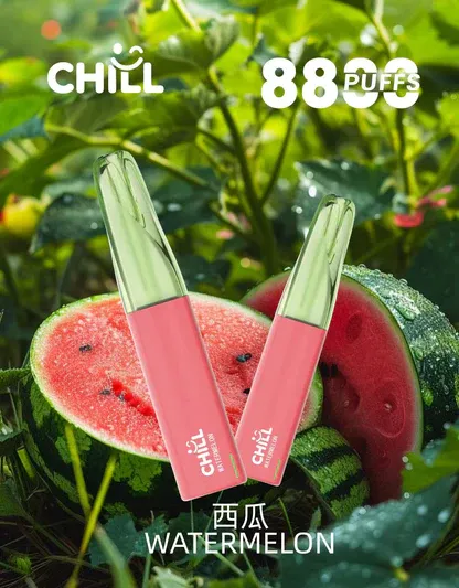 001-01 【台灣現貨】CHILL 鴨嘴獸 8800口 拋棄式電子煙 爆款熱銷 秒發免運
