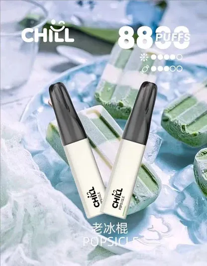 001-04 【台灣現貨】CHILL 鴨嘴獸 8800口 拋棄式電子煙 爆款熱銷 秒發免運