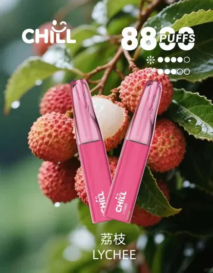 001-05 【台灣現貨】CHILL 鴨嘴獸 8800口 拋棄式電子煙 爆款熱銷 秒發免運