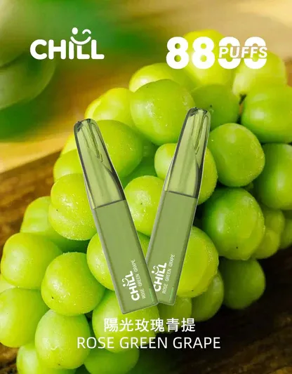 001-06 【台灣現貨】CHILL 鴨嘴獸 8800口 拋棄式電子煙 爆款熱銷 秒發免運