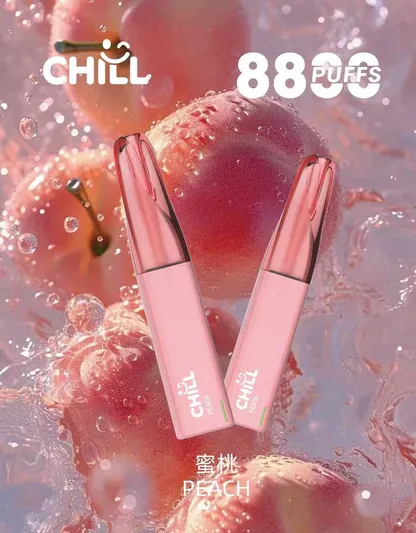 001-09 【台灣現貨】CHILL 鴨嘴獸 8800口 拋棄式電子煙 爆款熱銷 秒發免運