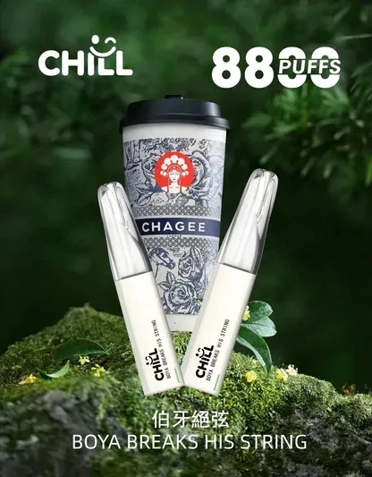 001-12 【台灣現貨】CHILL 鴨嘴獸 8800口 拋棄式電子煙 爆款熱銷 秒發免運