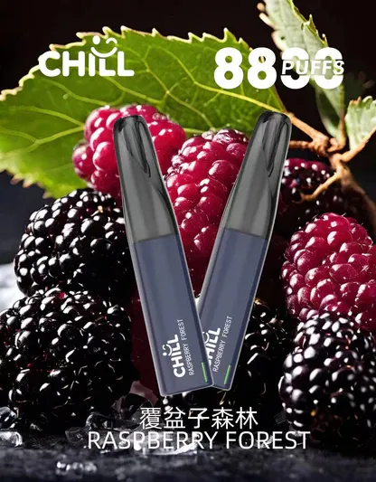 001-13 【台灣現貨】CHILL 鴨嘴獸 8800口 拋棄式電子煙 爆款熱銷 秒發免運