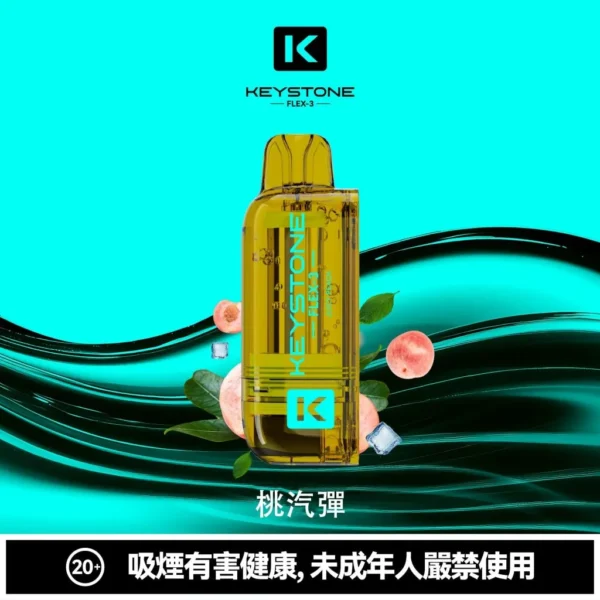 【台灣現貨】KEYSTONE FLEX-3 鑰石 25000口拋棄式電子煙 爆款熱銷 秒發免運【買一盒煙彈送主機】