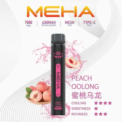 MEHA XBAR 拋棄式 7000口小黑條 (14) 魅嗨 MEHA XBAR 小黑條 7000口拋棄式電子煙|3%尼古丁鹽黃金配方 極強冰感細膩體驗
