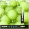 LANA ZOLT 拉娜 冰感水果系列 8000口拋棄式電子煙｜3%尼古丁鹽順滑摯喉 Mesh芯清爽極致體驗